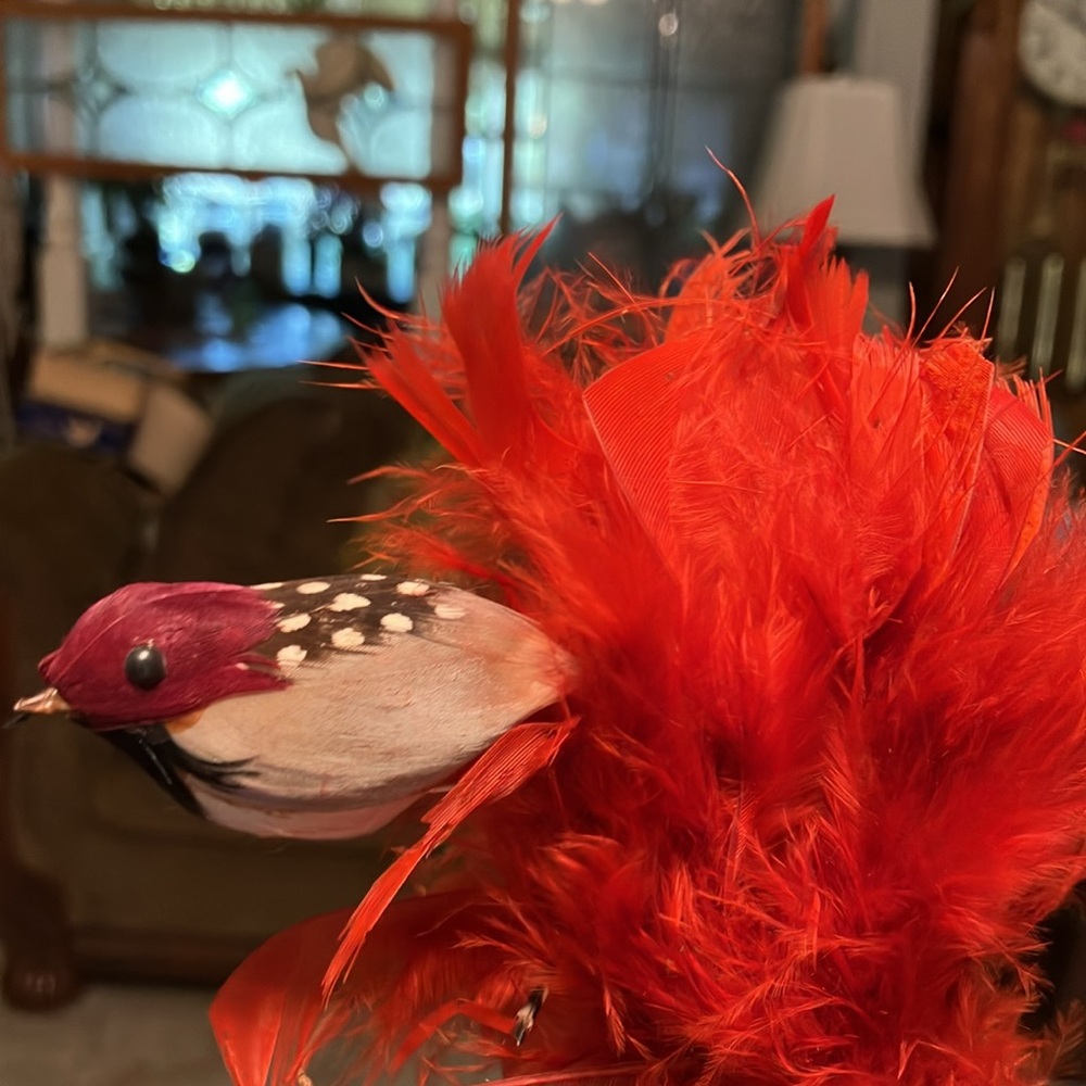 Feather Bird With Red Plumes (Feathers) 14” by Regency International NEW w/tags